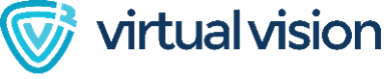 virtual vision